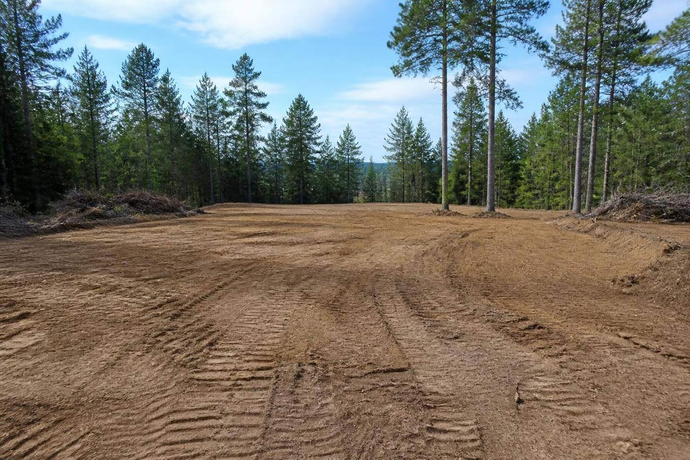 Cleared and graded building pad on a wooded Muskoka lot